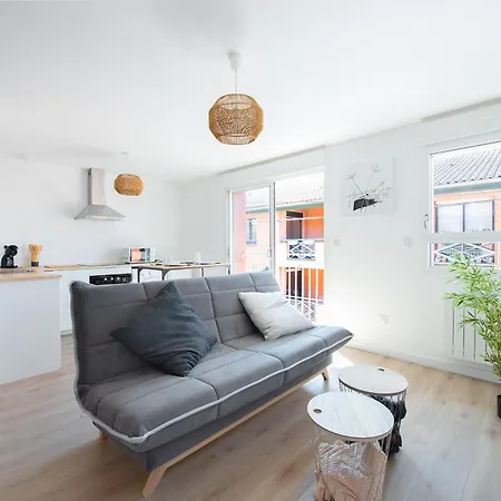 T2 Avec Parking Gratuit - Proximite Gare Τουλούζη